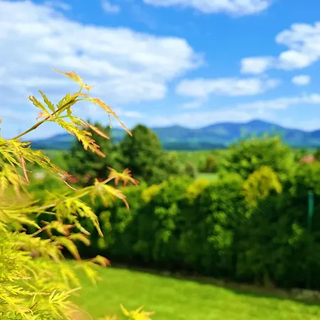 Zenovna - Reset V Beskydech