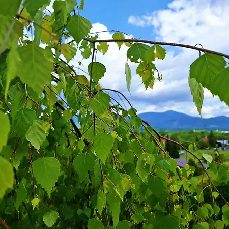 Zenovna - Reset V Beskydech Villa