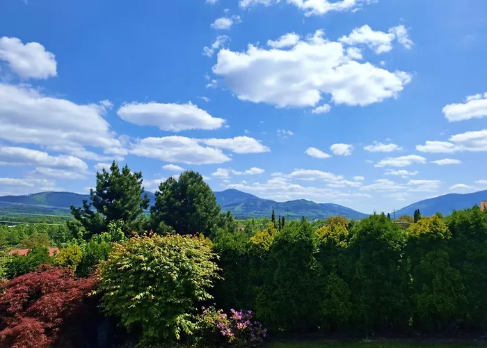 Zenovna - Reset V Beskydech