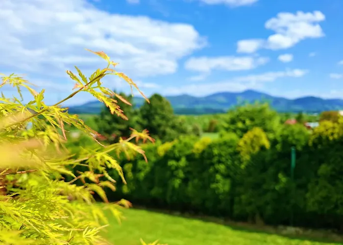 Zenovna - Reset V Beskydech