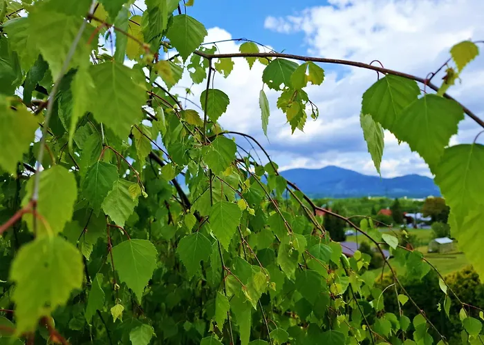 Zenovna - Reset V Beskydech Βίλα